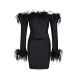 Fongt Dress 2025 New Shoulder Long-Sleeved Feather Dress For
