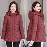 Mother Winter Down Cotton-Padded Jacket Add Fat Increase The New Foreign Style Middle-Aged Coat Female Autumn And Winter Large Size Middle-Aged Cotton-Padded Jacket-Outfit