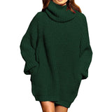 Fongt And Winter New Fashion Long Sleeve High Collar Pocket Long Dress Loose Sweater