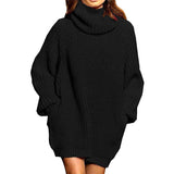 Fongt And Winter New Fashion Long Sleeve High Collar Pocket Long Dress Loose Sweater