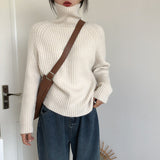 Wind, High Collar, Thin Sweater, Bright Silk Design, Solid Color Slim, Bottomed Sweater, Autumn And Winter Blouse-Outfit