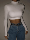 Turtleneck Long Sleeve Crop Top-Outfit
