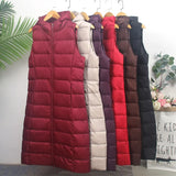 Autumn Winter New Down Jacket Vest Female Thin And Long Korean Version Slim Hooded Horse Clip Vest Tide-Outfit