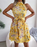 Women's Temu Sweet Princess Print Sleeveless Skirt Dress-Outfit