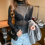 2024 Spring Summer Women's Sexy See Through Mesh Blouse Long Sleeve Transparent Turtleneck Shirt Fashion Women Tops-Outfit