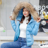 2023 Autumn And Winter New Women's Cotton Coat Short Big Wool Korean Version Of Large Size Women's Cotton Padded Jacket-Outfit