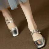 Fongt Heel High-Heeled Women's Skirt Temperament Silver Single Shoes 2024 New Spring And Autumn French Mary Jane Small Leather