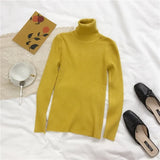 Autumn New Slim Long Sleeve Jumper Women Turtleneck Knitted Pullover Winter Sweater Women Soft Warm Sweater Pull Femme