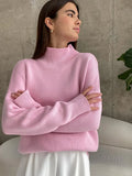 Women Turtleneck Sweater Knitted Oversized 2022 Autumn Winter Thick Warm Pullover Tops Ladies Casual Loose Female Pull