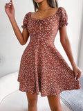 Wind Shooting Spring And Summer Leisure Horn Sleeves With Broken Flowers Dress Women's