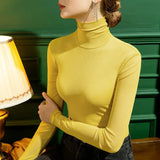 Winter Mesh T Shirts Women's Solid Turtleneck Full Sleeve Slim Basic Tshirts Tees Female High Stretch Undershirts-Outfit