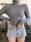 Knitted Women high neck Sweater Sexy Off Shoulder Pullovers Turtleneck Autumn Winter Basic Women Sweaters Slim Fit Tops-Outfit