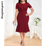 Elegant Casual Party Women's Dress with Embroidered Mesh Splice Slim Fit, Slim Wrapped Hip Sexy Dress-Outfit