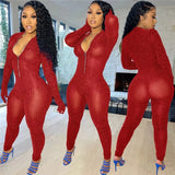 Mesh Sheer Glitter Bodycon Jumpsuits Women Long Sleeve Front Zipper Rompers Female Overalls One Piece Jumpsuit Club Outfits-Outfit