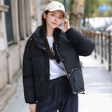 New Style Down Cotton Jacket Women's Winter Jacket-Outfit