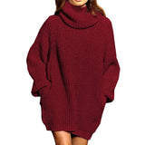 Fongt And Winter New Fashion Long Sleeve High Collar Pocket Long Dress Loose Sweater