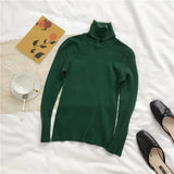 Autumn New Slim Long Sleeve Jumper Women Turtleneck Knitted Pullover Winter Sweater Women Soft Warm Sweater Pull Femme