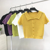 Sweater Women's 2024 Summer Korean Version Of Single-Breasted Polo Collar Knitted T-Shirt Short Style Short-Sleeved Blouse-Outfit