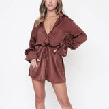 Lapel Neck Shirt Dress Solid Color Single-breasted Long Sleeve Drawstring High Waist Straight Mini Dress Fall Spring