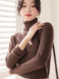 Turtleneck Sweater Winter Slim Thicken Knitwear Jumper Woman Soft Knit Pullovers Casual Plush Fleece Lined Warm Malhas