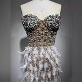 Gorgeous Feather Water Drill Nails Beads Sexy Perspective High Open Fork T-Breast Dress Birthday Party Party