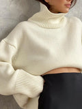 Soft Turtleneck Knitted Sweater Women Autumn Casual Long Sleeve Knitwear Pullover Female Simple Solid Warm Jumper Lady