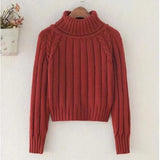 Cropped Sweater Winter Turtleneck Bottoming Pullover Tops Casual Long Sleeve Knitted Warm Jumper Korean Soft Sueters