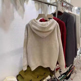 Hoodie Sweater Women's Coat 2024 Autumn And Winter New Lazy Korean Version Of Loose Letter Hooded Sweater-Outfit