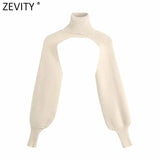 New Women Turtleneck Collar Long sleeve Knitting Sweater Femme Chic design Casual Pullovers High Street Ladies Tops
