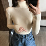 Autumn New Slim Long Sleeve Jumper Women Turtleneck Knitted Pullover Winter Sweater Women Soft Warm Sweater Pull Femme