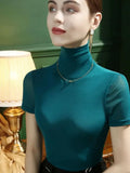 Autumn Base Mesh Tees Women Half Turtleneck Short Sleeve T Shirts Lady Stretchy Tops Female Basic T-shirt-Outfit