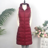 Autumn Winter New Down Jacket Vest Female Thin And Long Korean Version Slim Hooded Horse Clip Vest Tide-Outfit