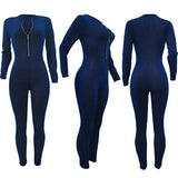 Mesh Sheer Glitter Bodycon Jumpsuits Women Long Sleeve Front Zipper Rompers Female Overalls One Piece Jumpsuit Club Outfits-Outfit