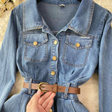 Fongt Water Wash Denim Dress Women's Autumn New High-End Thin Temperament Waist Single Buckle Long Skirt
