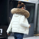 2023 Autumn And Winter New Women's Cotton Coat Short Big Wool Korean Version Of Large Size Women's Cotton Padded Jacket-Outfit
