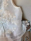 High-End Women's Wear New Chinese Embroidery Eugen Gauze Collar Buckle Vest 2024 Women's Spring And Summer Style Vest-Outfit