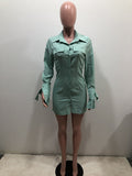 A-line Bodycon Long Sleeve