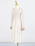Fongt Temperament Dress Women's New Spring 2025 New Standing Collar Mesh Half-Perspective High-End Long Sleeve Swing