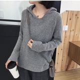 Trend Ins Hooded Sweater Sweater Thin Autumn Sweater Long-Sleeved Sweater Jacket-Outfit