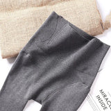 Thick Cold-Resistant Leggings Women Pregant Soft High Waist Legging Female Solid All-Match Velvet Warm Leggins
