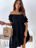 Sleeve Solid Loose Mini