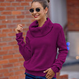 Fongt Sweater Women's Horse Hair Solid Color Long-Sleeved Collar Knitwear Shirt In Autumn And Winter 2025
