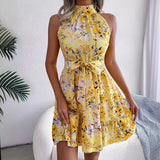 Women's Temu Sweet Princess Print Sleeveless Skirt Dress-Outfit