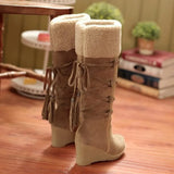 Winter Boots Warm Fur Boots Ladies High Heels Platform Knee High Snow Boots Women 2020 Warm Fur Wedge Shoes